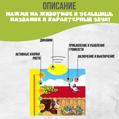 Интерактивный ростомер 