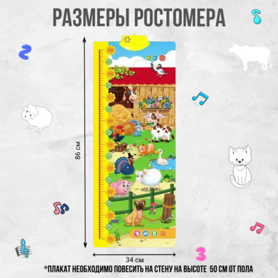 Интерактивный ростомер 
